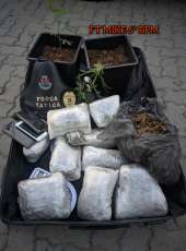 PMCE prende suspeito por tráfico de drogas no bairro Benfica
