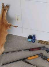 Duas espingardas e couro de animal são apreendidos pela PMCE em Tururu/CE