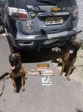 Com auxílio de cães farejadores, PMCE apreende quatro quilos de maconha e prende suspeita de tráfico na Capital