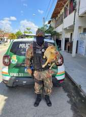 Dois cachorros abandonados, há mais de 3 meses, foram resgatados pela PMCE em um quintal de uma casa no bairro Conjunto Ceará