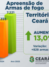 Forças de Segurança do Ceará apreendem 7.221 armas em 2025; são cerca de 20 armas confiscadas por dia