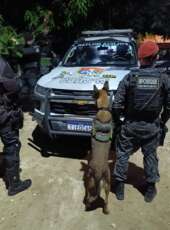 CPRaio e PCCães apreendem drogas após suspeitos fugirem no bairro Paupina, em Fortaleza