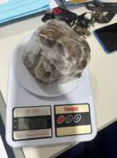 2ª Cia/ 21º BPM prende suspeito e apreende drogas no bairro José Walter, em Fortaleza