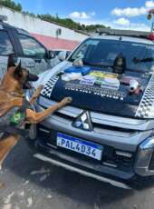 12º BPM e Policiamento Com Cães apreende quase 2 kg de maconha, cocaína e crack e conduz mulher em Caucaia