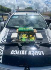Ação da PMCE intercepta transporte interestadual e resulta na apreensão de drogas e armamentos oriundos do Rio de Janeiro