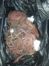 1ª Cia/ 5º BPM apreende fios de cobre no Centro de Fortaleza