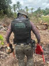 1ª Cia/ BPMA flagra supressão vegetal irregular e apreende motosserras durante operação em Itarema