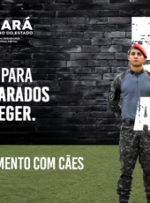 CPCães da PMCE celebra 50 anos de história, dedicação e parceria em prol da segurança pública do Ceará