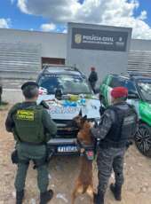 PMCE prende mulher por suspeita de tráfico de drogas em Barbalha