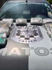PMCE apreende 10 kg de maconha escondidos em área de mata no bairro Castelão, em Fortaleza